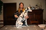 DALMATIEN - BROSSAGE 053